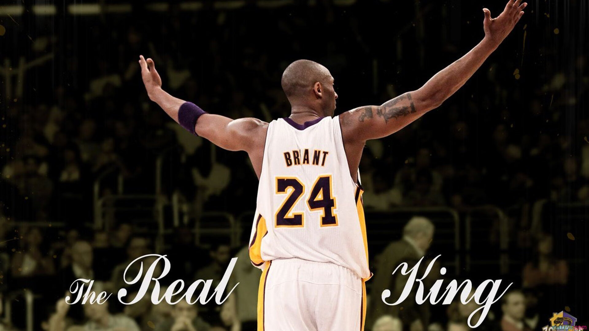 赛道与球场，上海队如何从F1街道赛焦点战中带走掘金